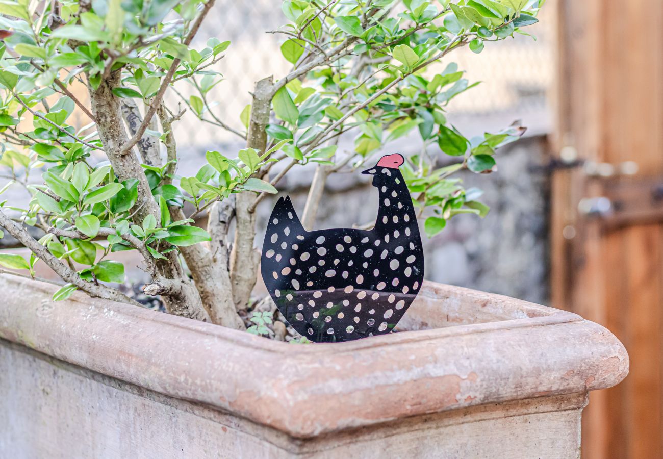 Appartamento a Staggiano - Il Gallo a Pois 🐓 🏁
