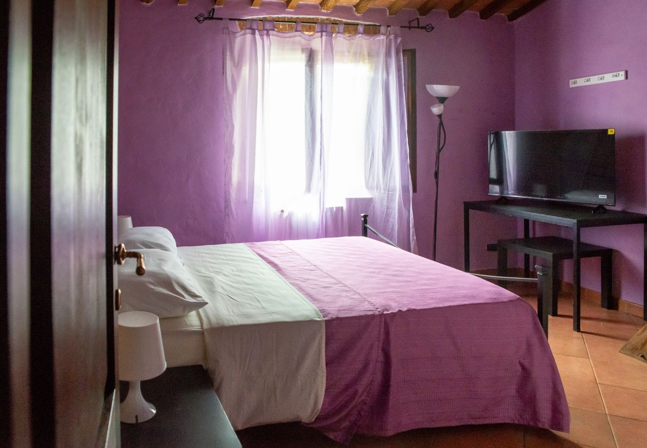 Appartamento a Pisa - Casa Velò a Pisa Centro 6 PAX 🏠  🧶