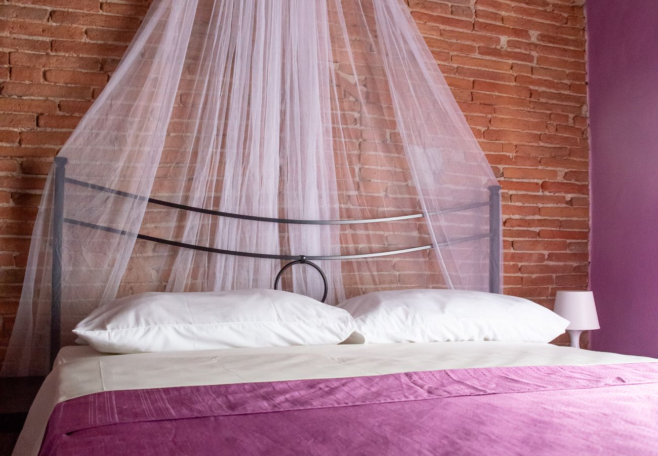 Appartamento a Pisa - Casa Velò a Pisa Centro 6 PAX 🏠  🧶