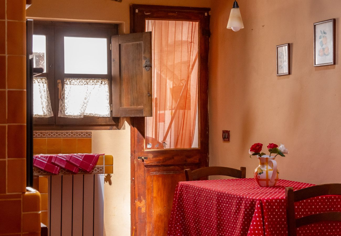 Appartamento a Pisa - Casa Velò a Pisa Centro 6 PAX 🏠  🧶