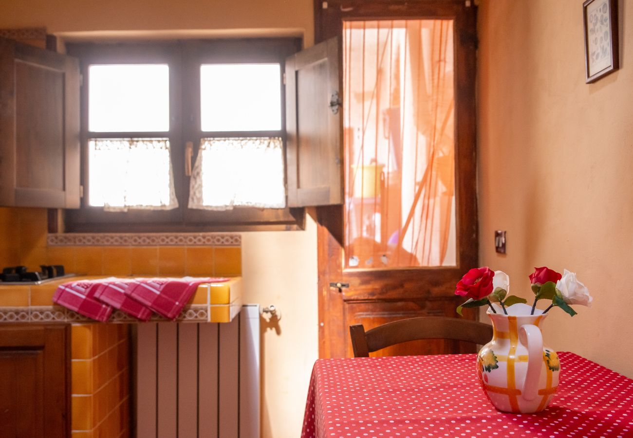Appartamento a Pisa - Casa Velò a Pisa Centro 6 PAX 🏠  🧶