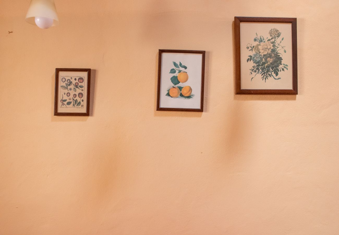 Appartamento a Pisa - Casa Velò a Pisa Centro 6 PAX 🏠  🧶