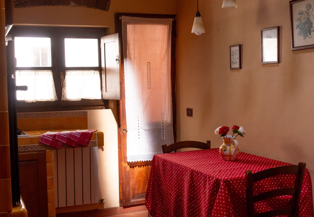Appartamento a Pisa - Casa Velò a Pisa Centro 6 PAX 🏠  🧶
