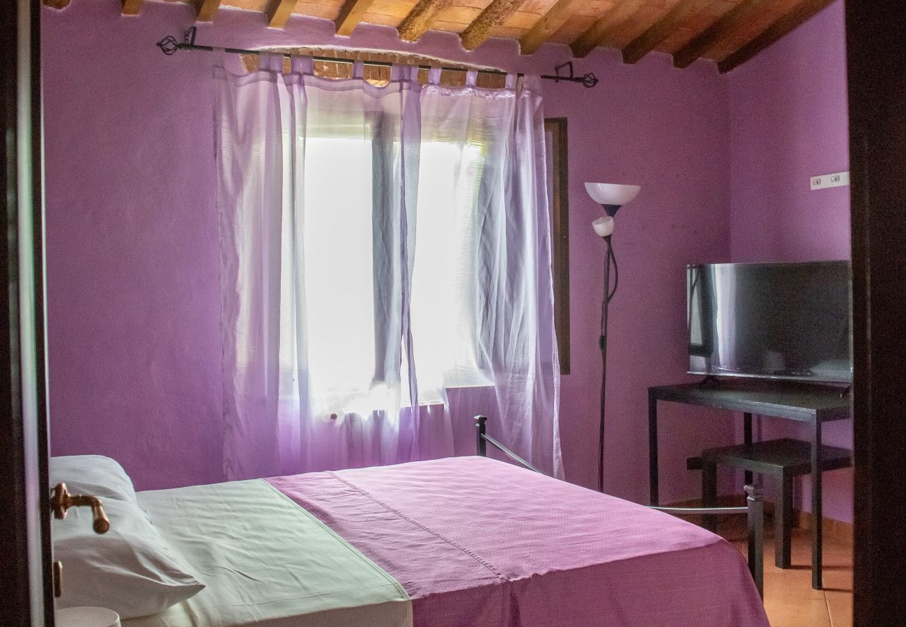Appartamento a Pisa - Casa Velò a Pisa Centro 6 PAX 🏠  🧶