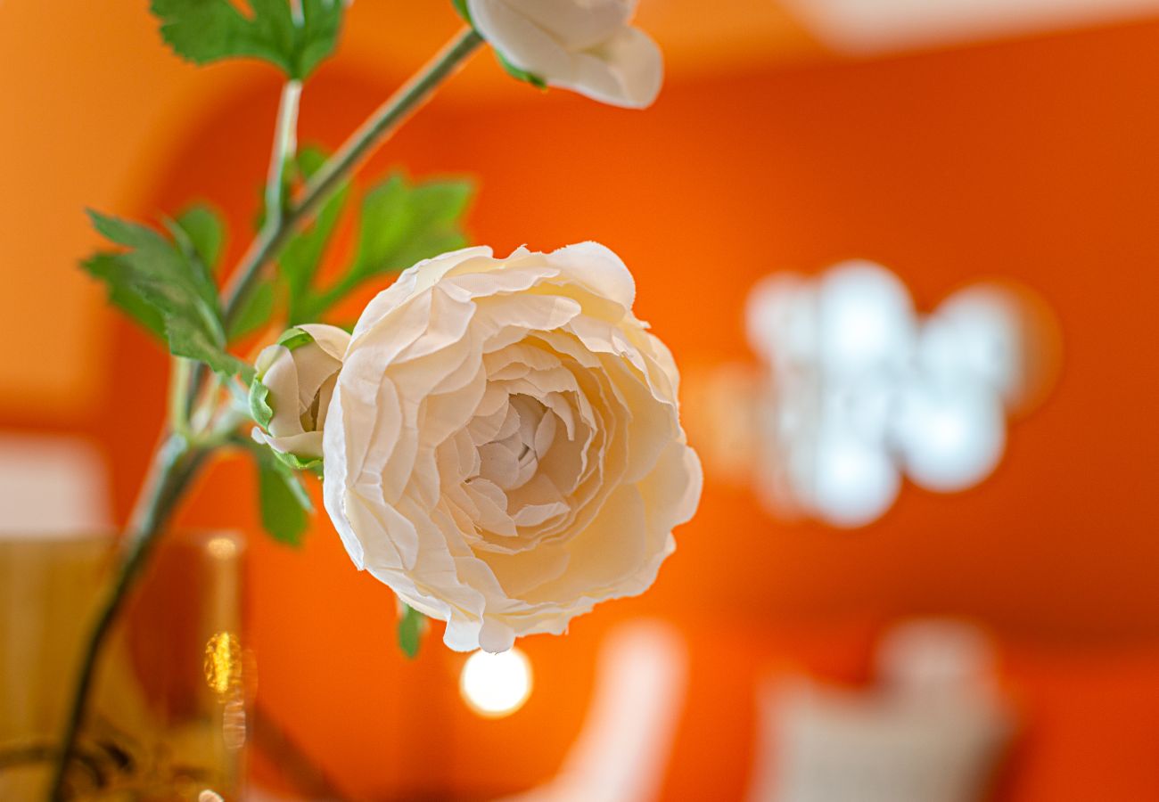 Appartamento a Roma - Appartamento Aperol Spritz