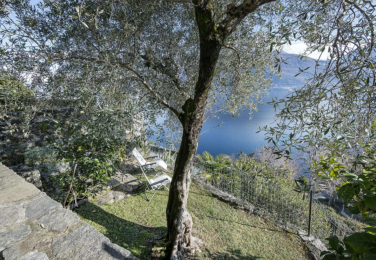 Appartamento a Pianello del Lario - UlivoLimone Apartment Vista Lago con Giardino e Ve