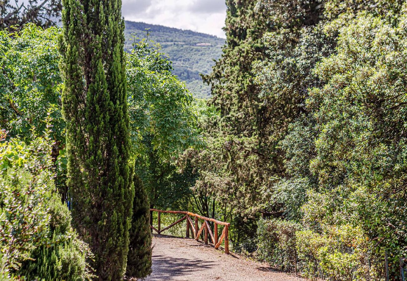 Apartment in Arezzo - Butterfly