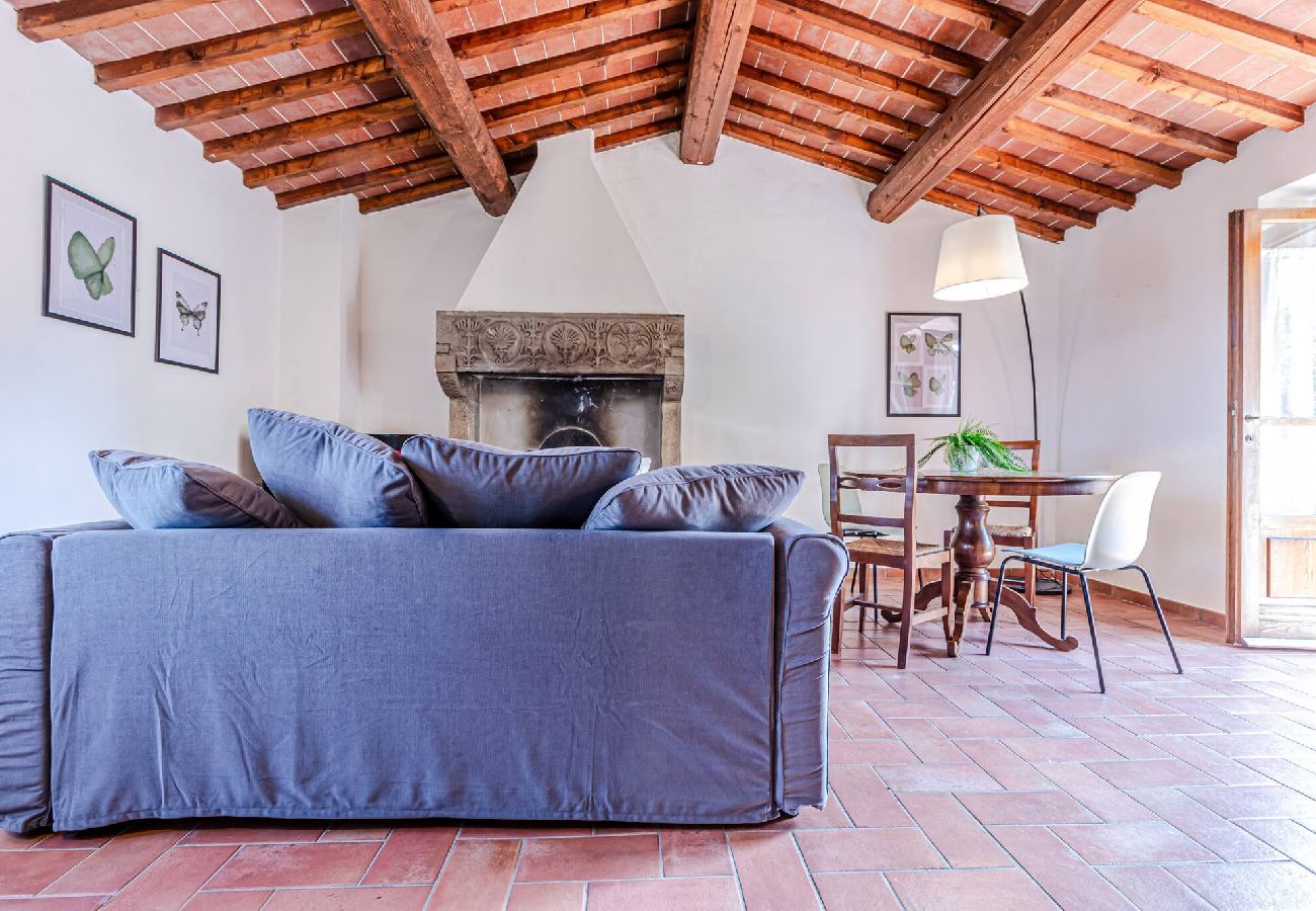 Apartment in Arezzo - Butterfly