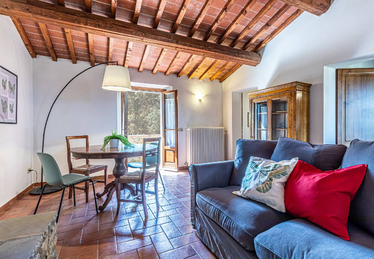 Apartment in Arezzo - Butterfly