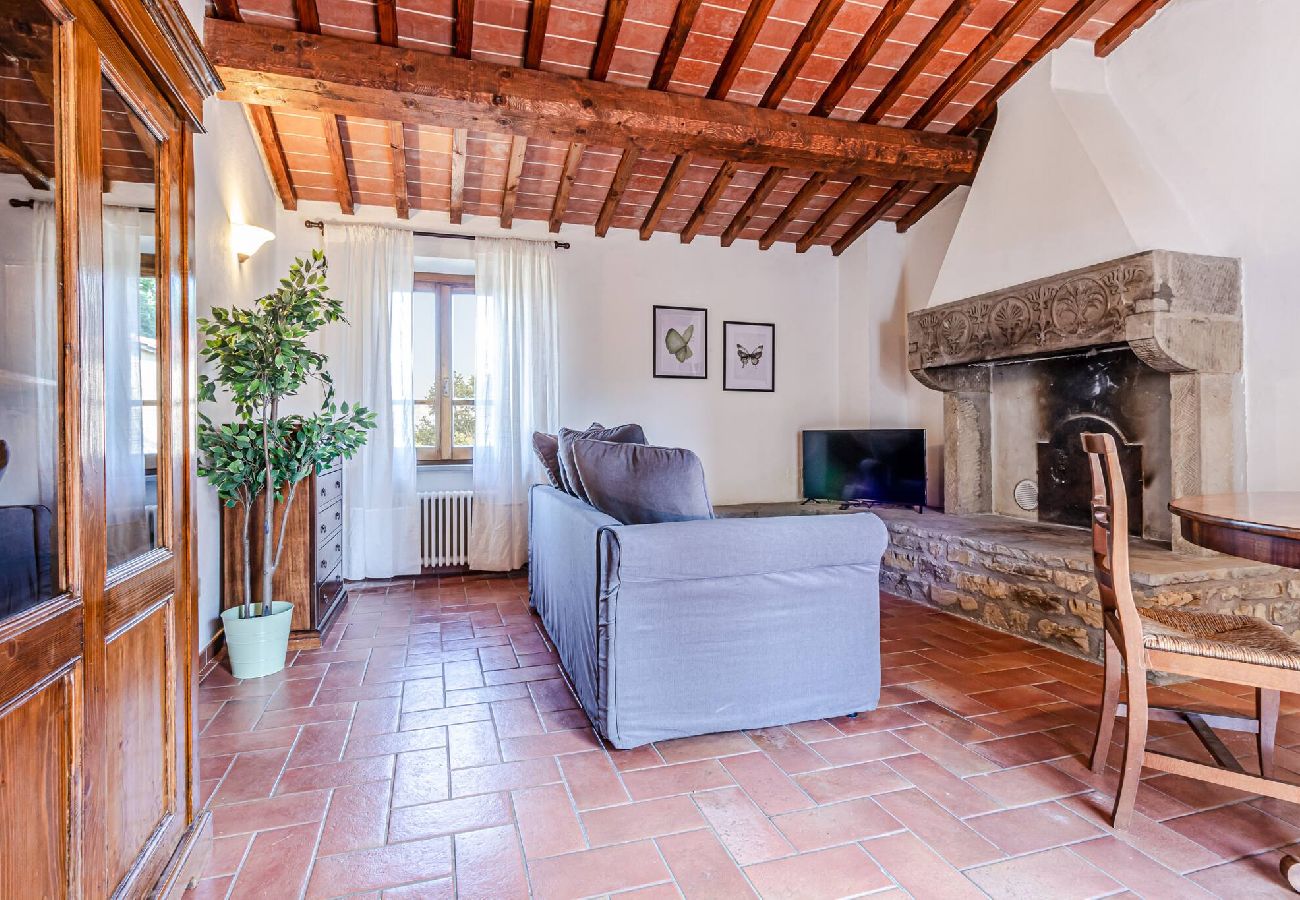 Apartment in Arezzo - Butterfly