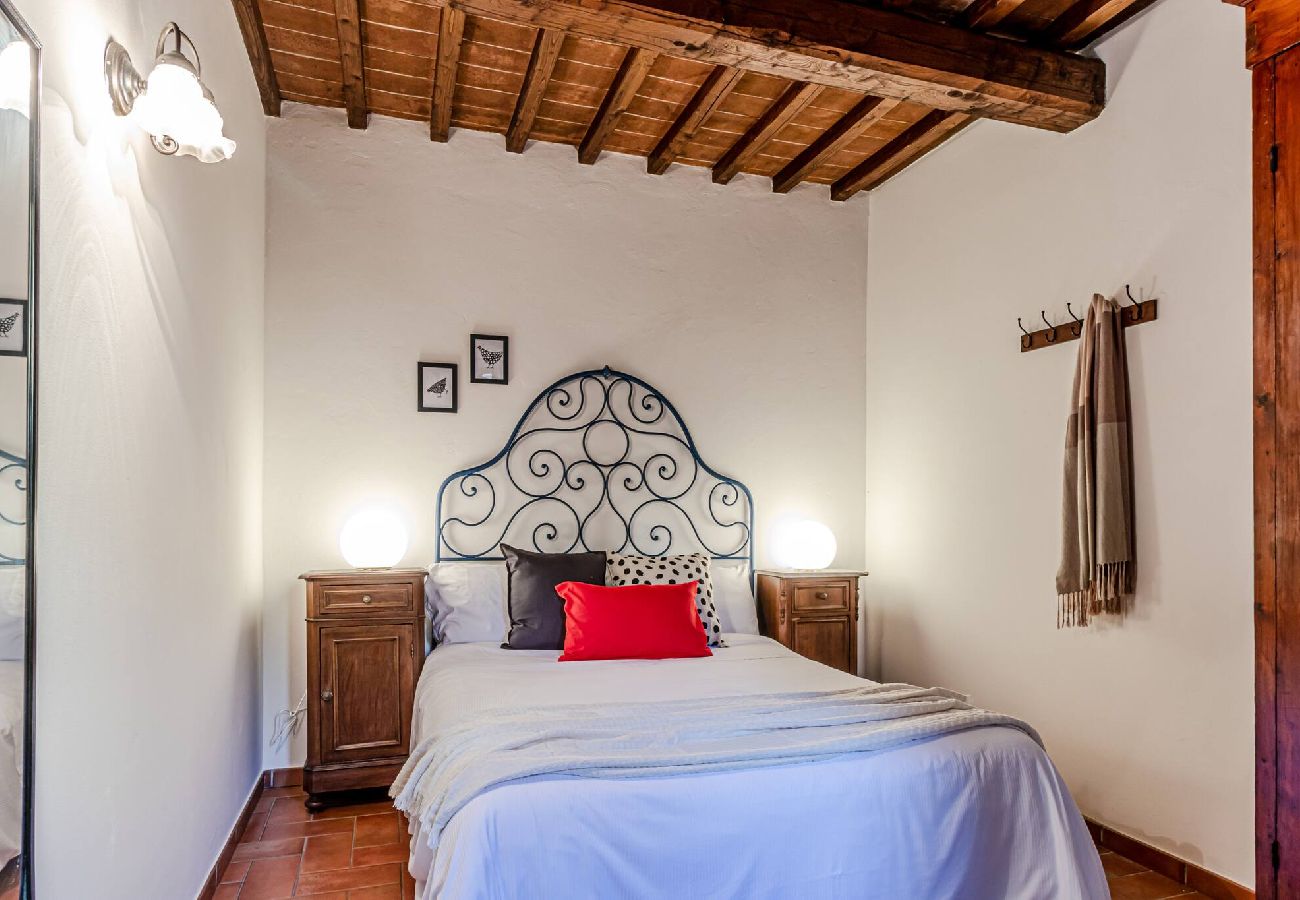 Apartment in Arezzo - Il Gallo a Pois