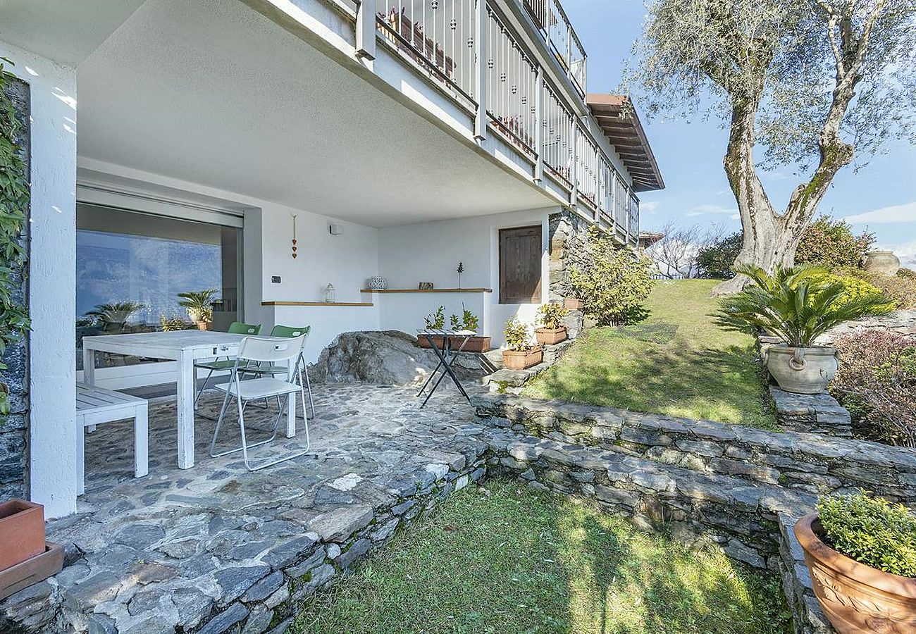 Apartment in Pianello del Lario - UlivoLimone Apartment Vista Lago con Giardino e Ve