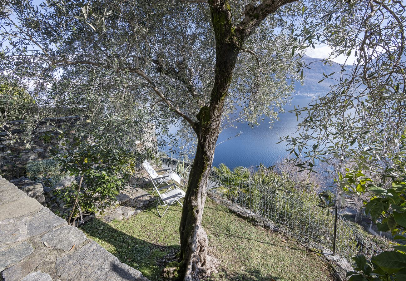 Apartamento en Pianello del Lario - UlivoLimone Apartment